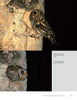 Two photos from Schiffer Publishing, Ltd.’s "Small Mountain Owls" show a Flammulated Owl at its tree nest in the Rockies: above, it holds prey; below, it peeks out. Text details its behavior. Page titled “The Flammulated Owl.”.