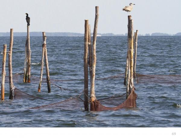 Several wooden poles with fishing nets reach from the calm sea as a seagull and cormorant perch nearby—classic Chesapeake Bay scenery featured in "Chesapeake Views" by Schiffer Publishing, Ltd., capturing tranquil moments under a clear sky.