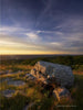The cover of "Naturally New Jersey" by Schiffer Publishing, Ltd. features a large rock atop a grassy hill at sunset, with golden light, dramatic clouds, trees, and distant hills highlighting the state’s natural beauty.