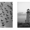 Side-by-side black-and-white seascapes from Schiffer Publishing, Ltd.’s "East Coast Atlantic Beaches": birds' shadows on wet sand left, a lighthouse by calm water right—capturing the serene beauty of the Atlantic shore.