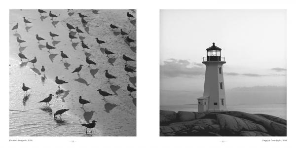 Side-by-side black-and-white seascapes from Schiffer Publishing, Ltd.’s "East Coast Atlantic Beaches": birds' shadows on wet sand left, a lighthouse by calm water right—capturing the serene beauty of the Atlantic shore.