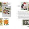 A two-page spread from "The Graphic Vegetable" by Schiffer Publishing, Ltd. showcases vintage seed packet art, mayonnaise ads, vibrant flower illustrations, a black-and-white photo of three children with plants, and text on flower varieties.