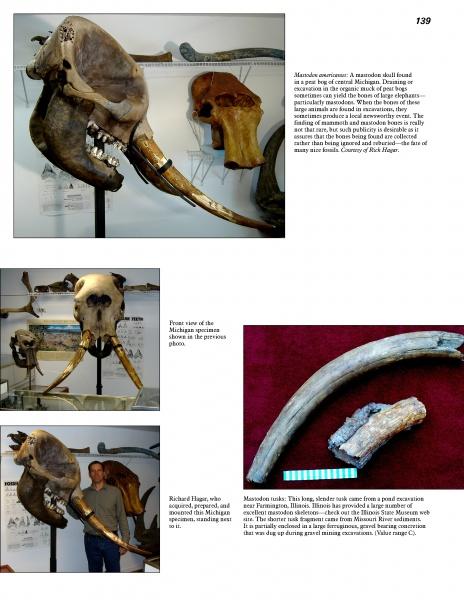 A page from "Cenozoic Fossils II" by Schiffer Publishing, Ltd. features photos of mastodon skulls, tusks, and Ice Age fossils in a museum, plus close-ups and a person next to a large skull, with text about fossil ID and exhibits.