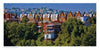Pittsburgh by Schiffer Publishing, Ltd. captures rows of historic brick houses with peaked roofs and lush trees in hilly neighborhoods, reflecting the city's charm and cultural renaissance under a clear blue sky.