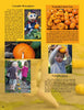 The magazine page for Kinder Gardens: Autumn Fun by Schiffer Publishing, Ltd. shows kids enjoying pumpkin-themed activities—painting pumpkins, exploring a pumpkin patch, and racing—with a yellow background highlighting these projects.