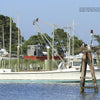 Inside an Osprey's Nest" by Schiffer Publishing, Ltd. features a white fishing boat near the shore with an osprey nest atop a wooden post, two ospreys in the nest, a third on the boat, and a scenic backdrop of trees and other boats.