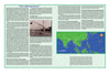 In Schiffer Publishing's "Battle Colors Volume VI," a two-page spread, The Gathering Storm, presents text, a sepia airfield photo with WWII tactical markings, and a green Asia map showing key China-Burma-India Theater locations.