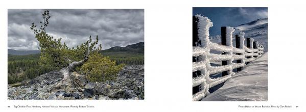 Side-by-side photos: left, a gnarled pine at Newberry National Volcanic Monument; right, a snowy fence near the Deschutes River and Bend breweries—images from Central Oregon by Schiffer Publishing, Ltd.