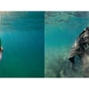 Side-by-side underwater photos from Clarity by Schiffer Publishing, Ltd.: left, a hand holds a green plastic bottle; right, a submerged dark Lake Tahoe sweatshirt—both reveal pollution in the lake's famously clear waters.