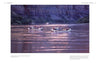 Three inflatable rafts drift along the calm Colorado River at sunset, canyon walls aglow, as captured in "In the Chasms of Water, Stone, and Light" from Schiffer Publishing, Ltd.—a serene Grand Canyon scene.