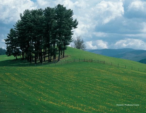 Experience the charm of West Virginia with Schiffer Publishing, Ltd.: tall trees on a grassy hill with yellow wildflowers, a wooden fence along the slope, and distant blue mountains beneath a partly cloudy sky.