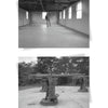 In this scene inspired by "Ghosts of Delaware" from Schiffer Publishing, Ltd., a solitary figure stands in a sunlit, empty room with exposed beams, while outside, an old artillery gun faces dense trees and the distant ocean.