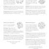 Kristy's Winter Cutting Garden by Schiffer Publishing, Ltd. offers a grayscale page with four text sections—Crowned Fox, Owl on a Branch, Pinecone Varieties, and Winter Bouquet—plus elegant winter flower illustrations and floral details throughout.