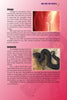 A page from "Everyday Voodoo" by Schiffer Publishing, Ltd. details Chango and Damballah, their origins, and symbols—highlighting red fabric or flames for Chango and a black coiled snake for Damballah in Voodoo tradition.
