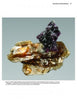 The Collector's Guide to the Mica Group by Schiffer Publishing, Ltd. showcases fascinating mica minerals like golden tabular phlogopite, sometimes found with purple spinel clusters, all set against a simple white background.