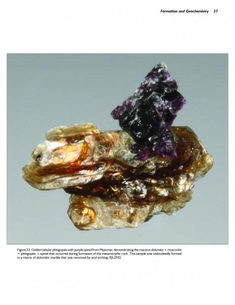 The Collector's Guide to the Mica Group by Schiffer Publishing, Ltd. showcases fascinating mica minerals like golden tabular phlogopite, sometimes found with purple spinel clusters, all set against a simple white background.