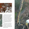 Mr. President and The First Lady by Schiffer Publishing, Ltd. features two bald eagles in a nest. One page shows a close-up among autumn leaves; the other, inspired by the DC Eagle Cam, shows the duo caring for their home.