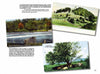 A collage of three vintage Berkshires postcards from Schiffer Publishing, Ltd.: a green hillside, a lake view with a frog statue, and a large tree among grass and rocks—each with brief historical or descriptive captions.