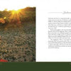 A scenic vineyard at sunset with orange poppies on the left; on the right, text about Ashland, Oregon’s history and a small image of two statues, evoking a photographic essay. Product: Ashland, Oregon, Day Trips by Schiffer Publishing, Ltd.