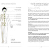 Two pages from Schiffer Publishing, Ltd.'s "Feeling Great with the Moon" show a human diagram with labeled points (head, chest, body) and step-by-step Life Flow Activation Sequence instructions inspired by Japanese energy healing.