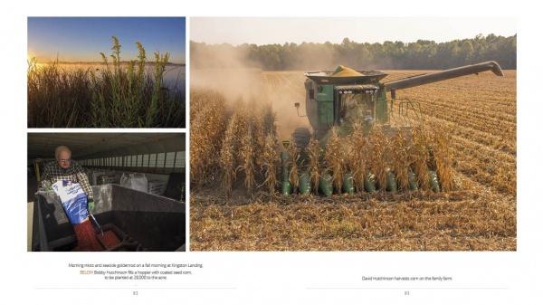 A combine harvester gathers corn on the Delmarva Peninsula, with inset images of tall grass and a person feeding livestock—capturing a scene from regional life in "Choptank Odyssey" by Schiffer Publishing, Ltd.