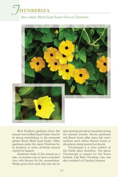 A cluster of vibrant yellow Thunbergia, featured in "Atlanta's Garden Plants" by Schiffer Publishing, Ltd., blooms with dark centers among green leaves; a close-up inset shows the flowers, with plant info text in the background.
