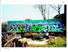 Graffiti art decorates the side of a green train car in an overgrown lot, evoking New York City’s vibrant style. "Truck Art" by Schiffer Publishing, Ltd. celebrates such bold, colorful designs, with trees and blue sky in the background.