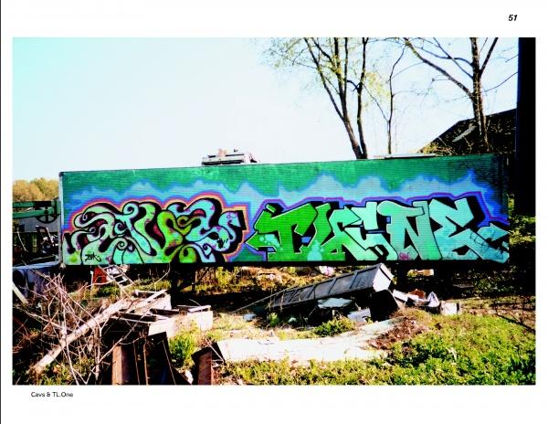Graffiti art decorates the side of a green train car in an overgrown lot, evoking New York City’s vibrant style. "Truck Art" by Schiffer Publishing, Ltd. celebrates such bold, colorful designs, with trees and blue sky in the background.