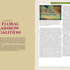 A two-page spread from The Graphic Flower by Schiffer Publishing, Ltd.: the left page titled Chapter 3: A Floral Rainbow Coalition with intro text; the right page has text and a small painting of colorful daisies, roses, and sunflowers.
