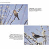 Two photos from *Birds of Coastal South Carolina* by Schiffer Publishing, Ltd. depict a house finch and a northern mockingbird on blooming branches amid white flowers, beautifully capturing South Carolina's springtime birdlife.