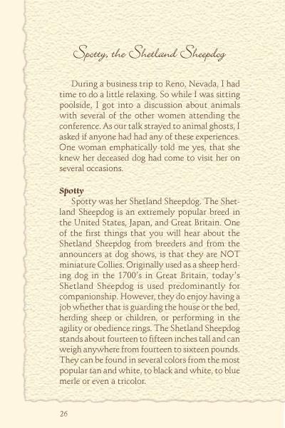 A page titled "Spotty, the Shetland Sheepdog" in Tails of the Afterlife by Schiffer Publishing, Ltd. discusses animal spirits, pet visitation stories, and info on Shetland Sheepdogs as herding or show dogs. Page 26 is noted at the bottom.
