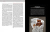 ortho silicates