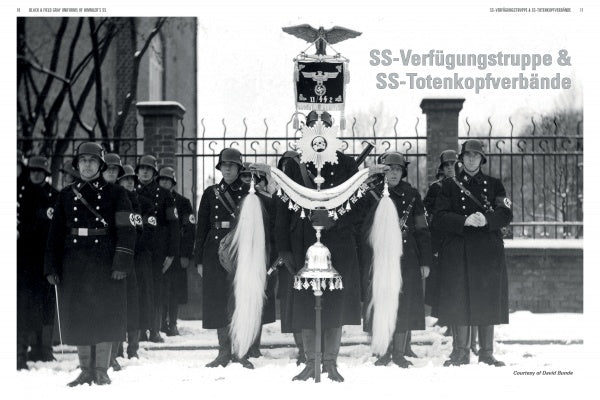 A black-and-white photo from "Black and Field Gray Uniforms of Himmler's SS, Vol. 1" by Schiffer Publishing, Ltd. shows Waffen-SS soldiers in formation in the snow with banners and standard; a building and iron fence are in the background.