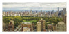 Experience breathtaking Central Park views in "Vista Manhattan" by Schiffer Publishing, Ltd.—lush green trees, towering skyscrapers, and city residences beneath a cloudy New York City sky.