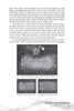 Page 35 of "Chicago's Haunt Detective" (Schiffer Publishing, Ltd.) tells the tale of Mary Bregovy’s grave marker—linked to Chicago ghost legends—and includes two black and white photos of markers, each with captions.