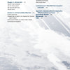 Table of contents page for "Maritime Casualties" by Schiffer Publishing, Ltd., displaying chapter titles, headings, and page numbers on a faded background image of a ship at sea.