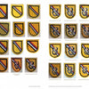 US Army Special Forces badges
