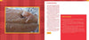 A close-up of cooked fish appears on the left, while Jim Bailey presents homemade fish breakfasts and low-fat cooking tips—all featured in "Refreshed" by Schiffer Publishing, Ltd. against a red checkered backdrop.