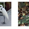 A spread in "101 Things to Do in Key West" by Schiffer Publishing, Ltd. features photos of a white egret on concrete, a white ibis on grass, and a green iguana on dry leaves, plus info about the Key West Wildlife Center.