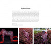 A page displays "Painted Alive" by Schiffer Publishing, Ltd., featuring a model painted in red and purple tones blending into foliage, inspired by contemporary art in the style of Craig Tracy. The model poses on all fours, partially hidden among plants.