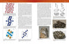 Collector's Guide to Silicates