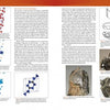 Collector's Guide to Silicates