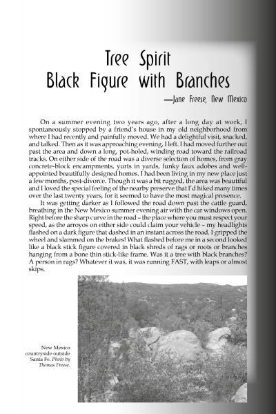 A magazine page promoting "Eerie Encounters in Everyday Life" by Schiffer Publishing, Ltd. features a black-and-white photo of a rocky landscape with trees, its haunting beauty echoing the eerie stories that fill the page.