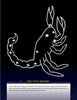 In the Night Sky by Schiffer Publishing, Ltd. features a white scorpion constellation on a starry background with fun facts, like some scorpions surviving extreme cold (except Antarctica)—great for kids interested in constellations and astrology.