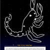 In the Night Sky by Schiffer Publishing, Ltd. features a white scorpion constellation on a starry background with fun facts, like some scorpions surviving extreme cold (except Antarctica)—great for kids interested in constellations and astrology.