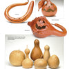 A collage inspired by "Cut-out Gourd Techniques" from Schiffer Publishing, Ltd.: Three top gourds are carved into snake, goose, and monster jack-o-lanterns; below are six uncarved natural gourds of varying shapes and sizes.