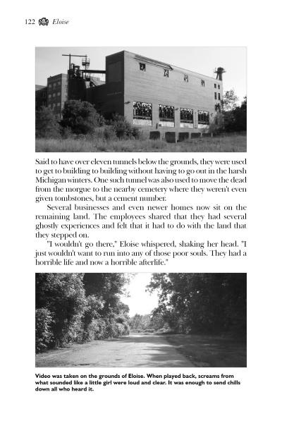 Featured in Schiffer Publishing, Ltd.’s Ghosts of Southeast Michigan, a sepia image of an old brick building with a smokestack and a black-and-white scene of trees evoke the haunted legends of Southeast Michigan.