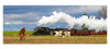 In "Seasons of Lancaster County" by Schiffer Publishing, Ltd., a steam train glides through rural Pennsylvania as two cows and a horse stand in a field under cloudy skies, capturing the timeless Amish charm.