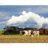 In "Seasons of Lancaster County" by Schiffer Publishing, Ltd., a steam train glides through rural Pennsylvania as two cows and a horse stand in a field under cloudy skies, capturing the timeless Amish charm.