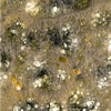 A close-up from "Hidden Beauty: Exploring the Aesthetics of Medical Science" by Schiffer Publishing, Ltd. reveals a moldy surface with green, white, and yellow patches, featuring fuzzy textures and web-like filaments reminiscent of disease patterns.
